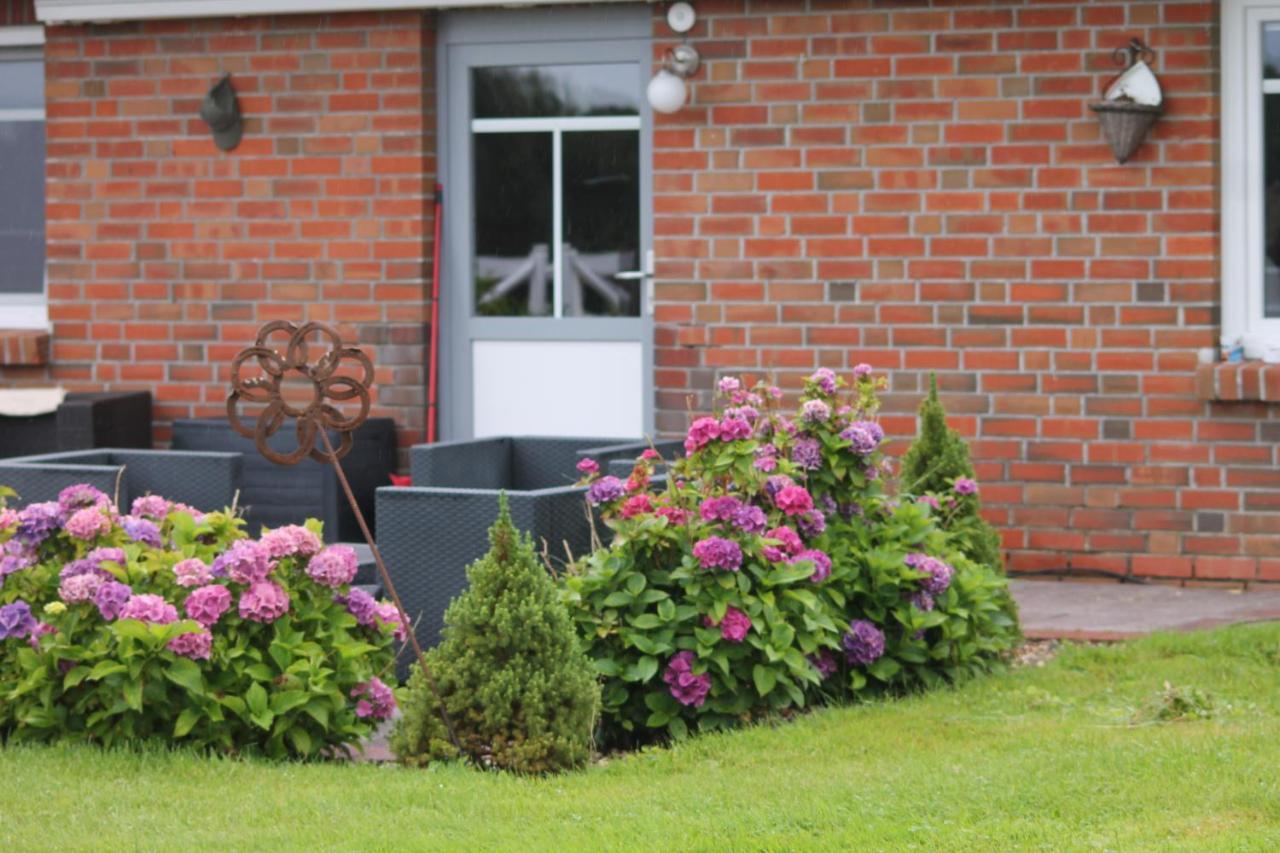 Balzwiekje Auszeit Auf Pferdehof In Ostfriesland Ihlow  Buitenkant foto